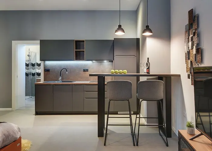 Novak 아파트 풀라